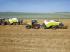Prese de balotat pătrate + Prese de boltat de densitate mare Claas Quadrant 3200 RC