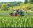 Pulverizatoare de câmp cu autopropulsie Fendt Rogator 665 