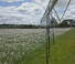 Tehnologii de irigat Rampe de pulverizare Bauer Irrigation Centerstar 168E