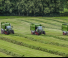 Remorci cu tocător pentru siloz Fendt Tigo 70 MS 