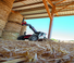 Telehandlere Manitou MLT 630-115 V Premium