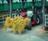 Telehandlere Manitou MLT 737-130 PS D Classic