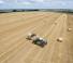 Telehandlere Claas Scorpion 9055