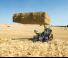 Telehandlere Claas Scorpion 738