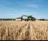 Telehandlere Claas Scorpion 756