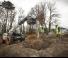 Telehandlere Bobcat T36.120SL 75 IV