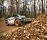 Telehandlere Bobcat TL26.60 Low Cab 100 IV