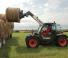 Telehandlere Bobcat TL30.60 AGRI Low Cab 100 IV