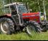Massey Ferguson 365