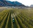 Tractoare 4WD DEUTZ-FAHR 5100 DS TTV 