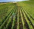 Tractoare 4WD John Deere 5105GV