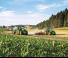 Tractoare 4WD John Deere 6195R