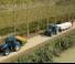 Tractoare 4WD Landini 7-175