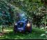 Tractoare 4WD BCS Eagle 85 SDT