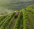 Tractoare 4WD Valtra F105S