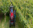 Tractoare 4WD Valtra F95S