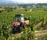 Tractoare 4WD SAME Frutteto CVT V 115 