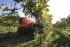 Tractoare 4WD SAME Frutteto³ S 90.3 DT