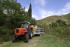 Tractoare 4WD SAME Frutteto³ S 90.3 DT