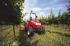 Tractoare 4WD McCormick GM 50