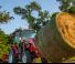 Tractoare 4WD Massey Ferguson MF 1740 M HP