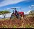 Tractoare 4WD Massey Ferguson MF 35