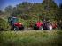 Tractoare 4WD Massey Ferguson MF 3635 V