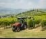 Tractoare 4WD Massey Ferguson MF 3VI.85 