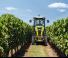 Tractoare 4WD Claas Nexos 240 VE
