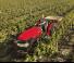 Tractoare 4WD Case IH Quantum 80 CL Rops