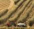 Tractoare 4WD Case IH Quantum 90 CL