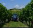 Tractoare 4WD Landini Rex 3-060F