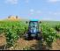 Tractoare 4WD Landini Rex DT 4-120F