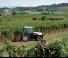Tractoare 4WD Lamborghini Spire V 90.4 