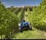 Tractoare 4WD New Holland T 4.95 LP