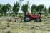 Tractoare 4WD SAME Tiger 75