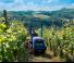 Tractoare 4WD BCS Valiant 60 AR Micro 