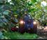 Tractoare 4WD BCS Vithar 85 AR 
