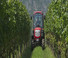 Tractoare 4WD McCormick X4.40V