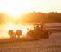 Tractoare pe șenile Case IH Quadtrac 540 CVX