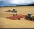 Tractoare pe șenile Claas Xerion 4500 Trac TS
