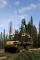 Echipamente forestiere Transportoare Ponsse Elk