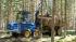 Echipamente forestiere Transportoare Rottne F 15 C
