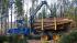 Echipamente forestiere Transportoare Rottne F 15 C