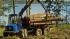 Echipamente forestiere Transportoare Rottne F 18