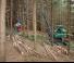 Echipamente forestiere Utilaje de recoltat bușteni Neuson Forest 103HV