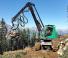 Echipamente forestiere Utilaje de recoltat bușteni Neuson Forest 243HV