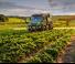 Vehicule Vehicule municipale multifuncționale diesel Unimog U 530 Euro 6