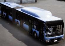 Autobuze urbane MAN Lion’s City GL