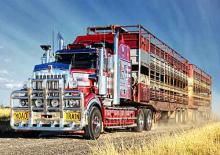 Capete tractor Kenworth T909 36” Mid roof X15 6x4